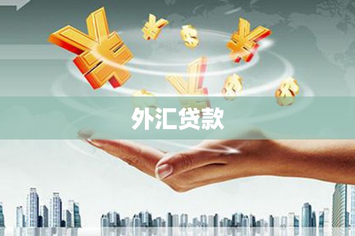 龙湖外汇贷款