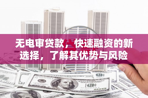 龙湖无电审贷款，快速融资的新选择，了解其优势与风险