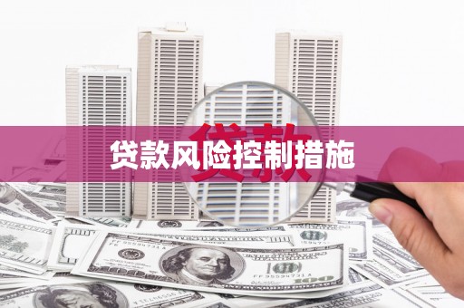 龙湖贷款风险控制措施