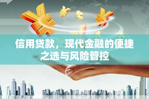 龙湖信用贷款，现代金融的便捷之选与风险管控