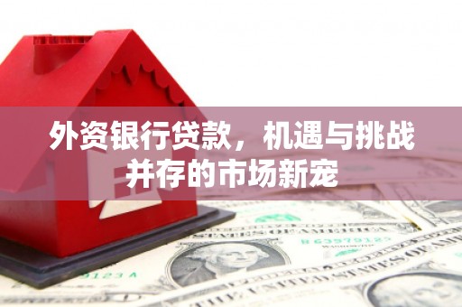 龙湖外资银行贷款，机遇与挑战并存的市场新宠