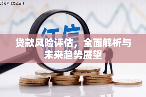 龙湖贷款风险评估，全面解析与未来趋势展望