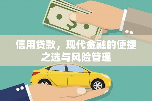 龙湖信用贷款，现代金融的便捷之选与风险管理