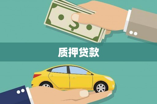 龙湖质押贷款