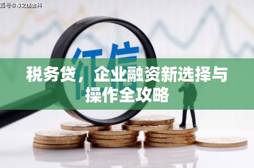 龙湖税务贷，企业融资新选择与操作全攻略