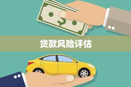 龙湖贷款风险评估