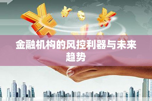 龙湖金融机构的风控利器与未来趋势