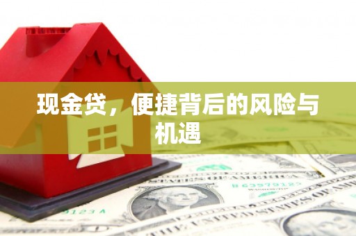 龙湖现金贷，便捷背后的风险与机遇