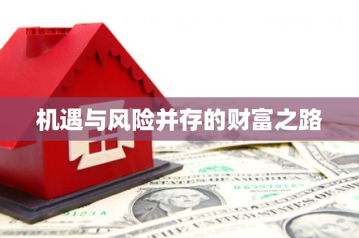 龙湖机遇与风险并存的财富之路