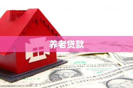 龙湖养老贷款