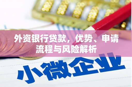 龙湖外资银行贷款，优势、申请流程与风险解析