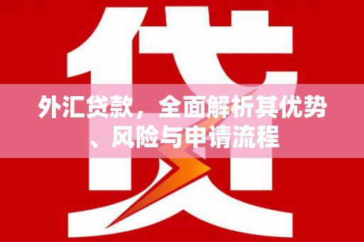龙湖外汇贷款，全面解析其优势、风险与申请流程