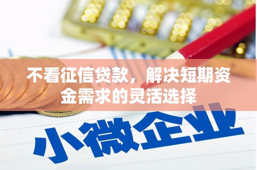 龙湖不看征信贷款，解决短期资金需求的灵活选择