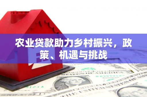 龙湖农业贷款助力乡村振兴，政策、机遇与挑战