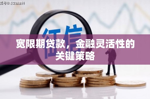 龙湖宽限期贷款，金融灵活性的关键策略