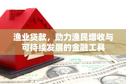 龙湖渔业贷款，助力渔民增收与可持续发展的金融工具