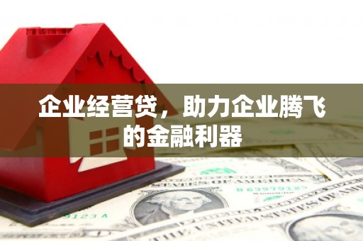 龙湖企业经营贷，助力企业腾飞的金融利器