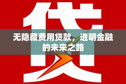 龙湖无隐藏费用贷款，透明金融的未来之路