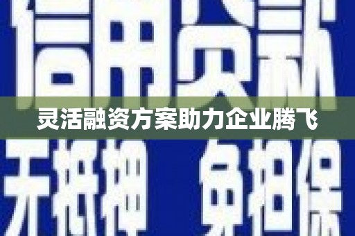 龙湖灵活融资方案助力企业腾飞