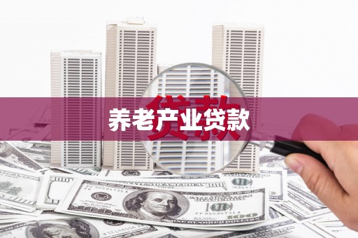 龙湖养老产业贷款