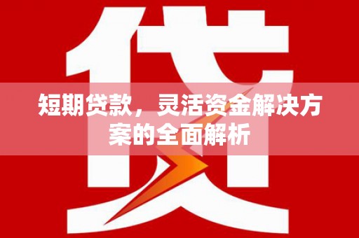 龙湖短期贷款，灵活资金解决方案的全面解析