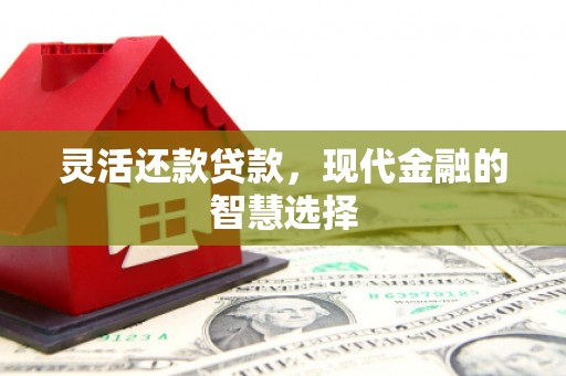 龙湖灵活还款贷款，现代金融的智慧选择
