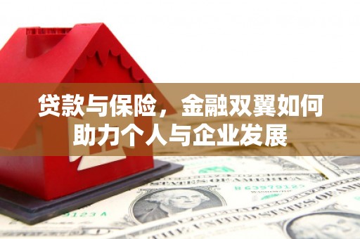 龙湖贷款与保险，金融双翼如何助力个人与企业发展