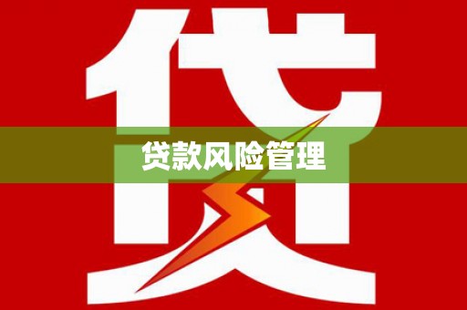 龙湖贷款风险管理