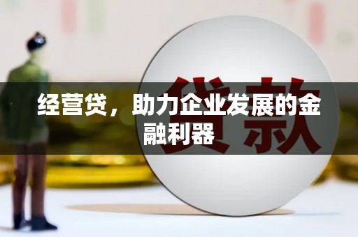 龙湖经营贷，助力企业发展的金融利器