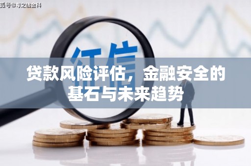 龙湖贷款风险评估，金融安全的基石与未来趋势