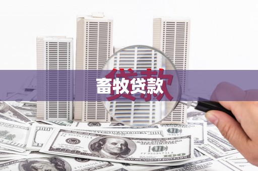 龙湖畜牧贷款