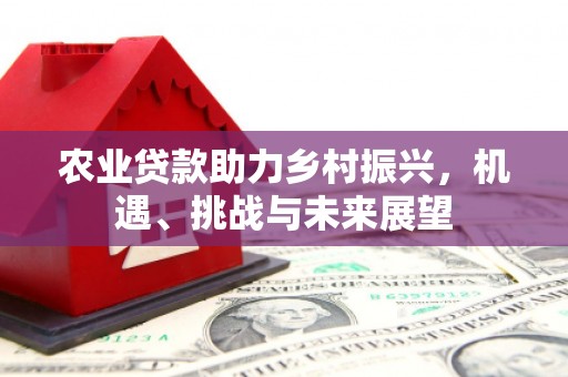 龙湖农业贷款助力乡村振兴，机遇、挑战与未来展望