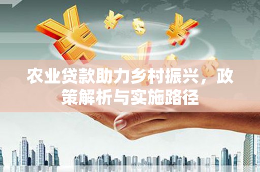 龙湖农业贷款助力乡村振兴，政策解析与实施路径