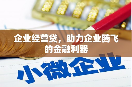 龙湖企业经营贷，助力企业腾飞的金融利器