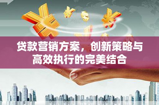龙湖贷款营销方案，创新策略与高效执行的完美结合