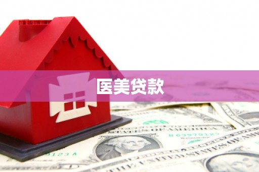龙湖医美贷款