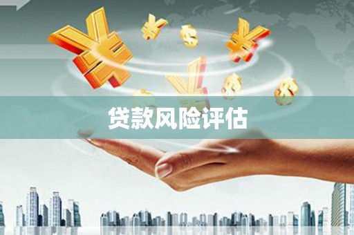 龙湖贷款风险评估