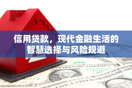龙湖信用贷款，现代金融生活的智慧选择与风险规避