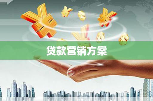 龙湖贷款营销方案