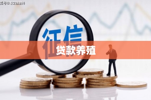 龙湖贷款养殖