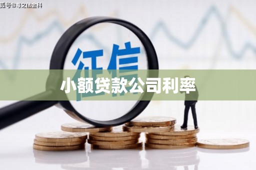 龙湖小额贷款公司利率