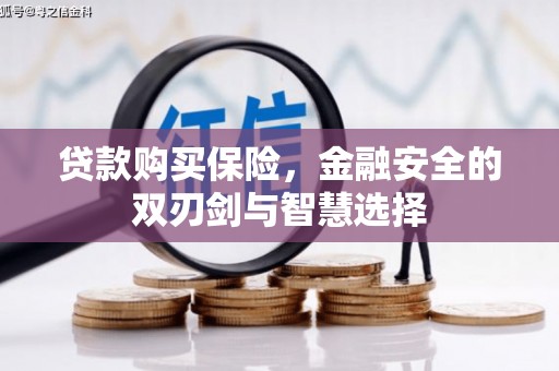 龙湖贷款购买保险，金融安全的双刃剑与智慧选择