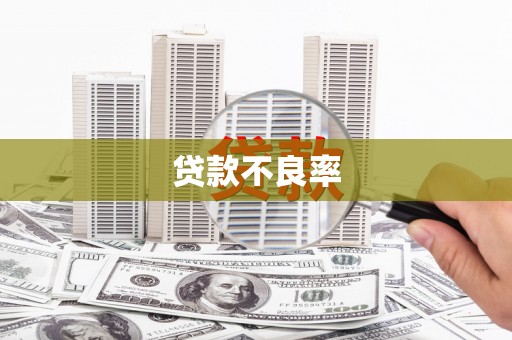 龙湖贷款不良率