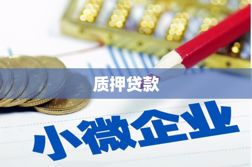 龙湖质押贷款