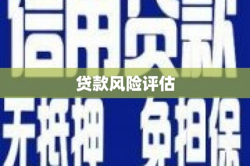 龙湖贷款风险评估