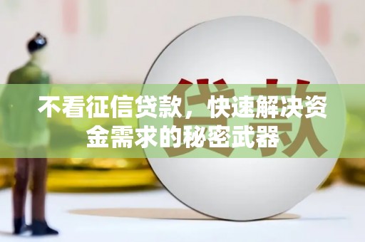 龙湖不看征信贷款，快速解决资金需求的秘密武器