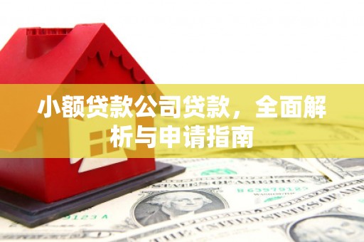 龙湖小额贷款公司贷款，全面解析与申请指南