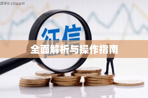 龙湖全面解析与操作指南