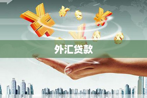 龙湖外汇贷款