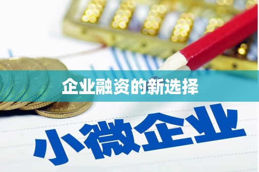 龙湖企业融资的新选择